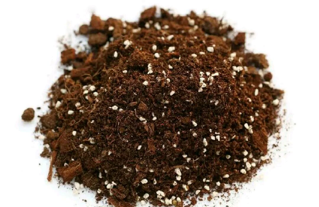 品质较好的营养土则粗中有细,握在手里可成团,松手即散,使用感受也