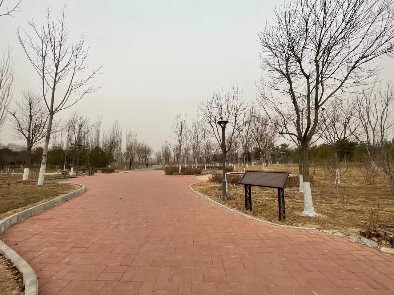 海淀镇翻新改造树村公园石板路