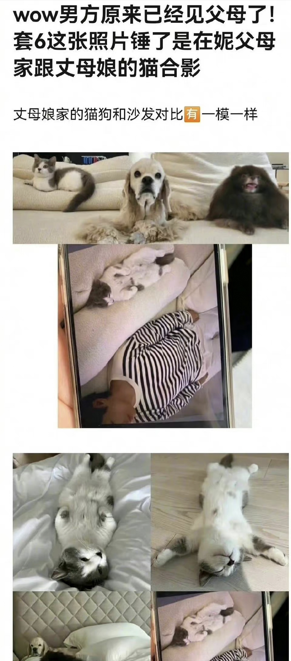 金泰亨jennie疑似见父母?