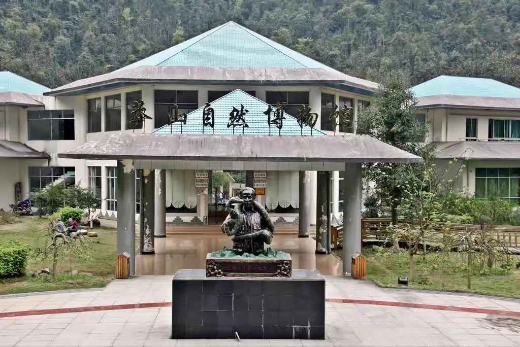 超级国宝莽山烙铁头总数不到500条,曾价值百万一条,有多珍贵?