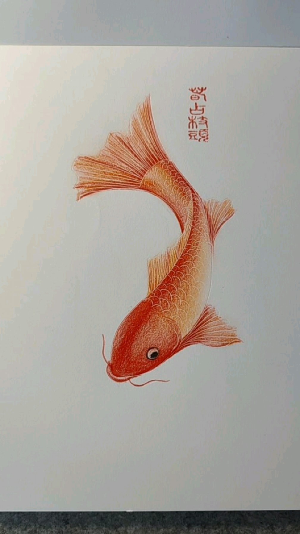 彩色鉛筆畫一條魚