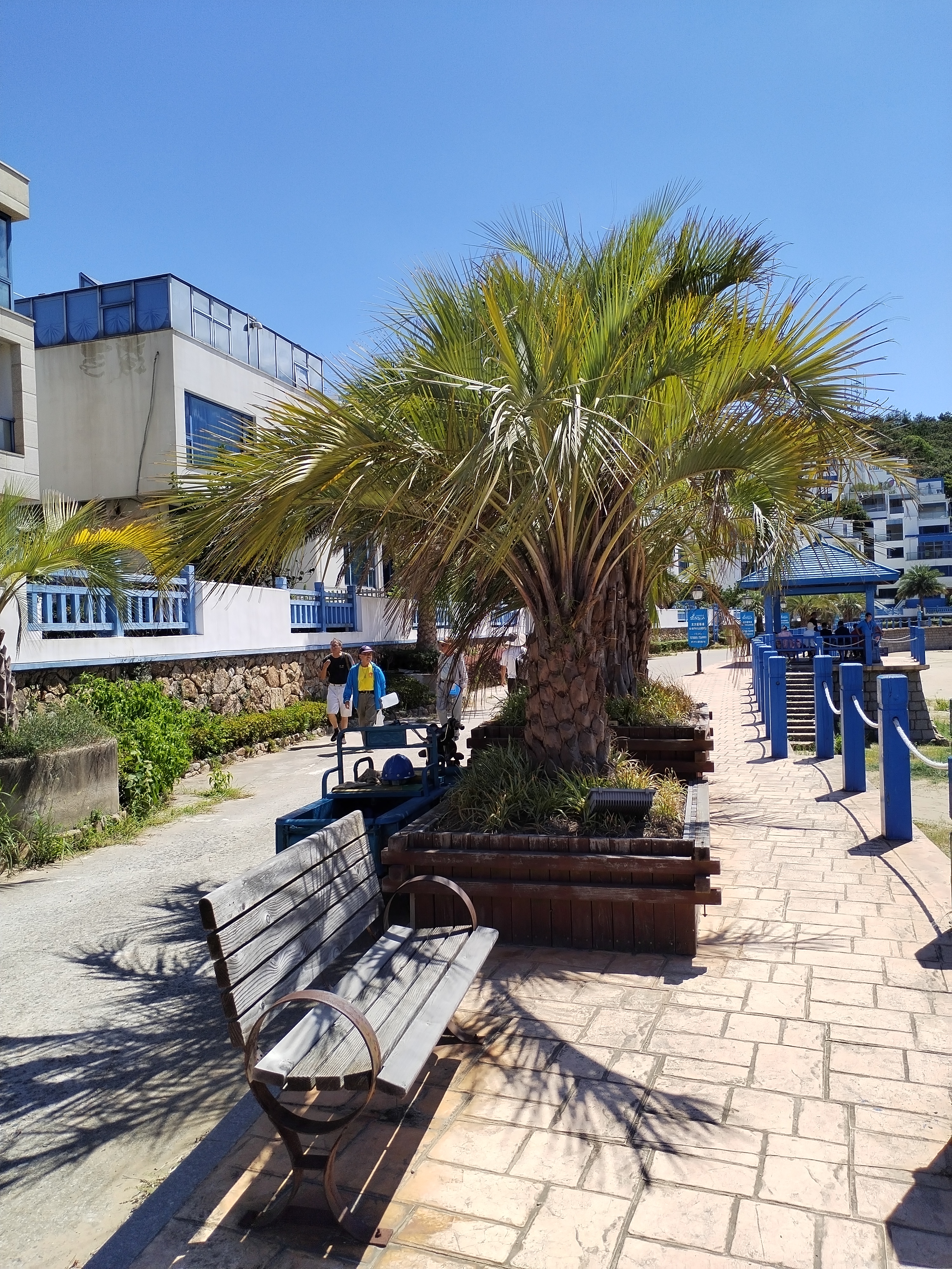 舟山秀山岛有个爱琴海蓝白小镇,你听说过吗?