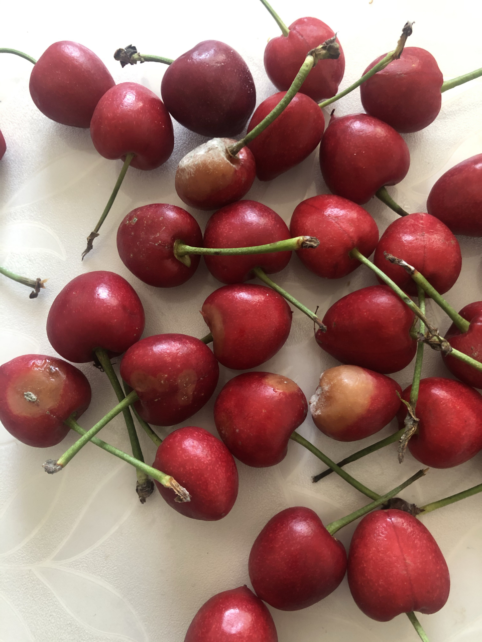 今天女儿在吉美买了两盒樱桃90,樱桃看上去挺新鲜,个头也挺大,到家