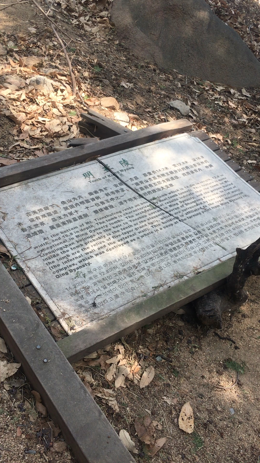 滕州莲青山第十一代明王陵