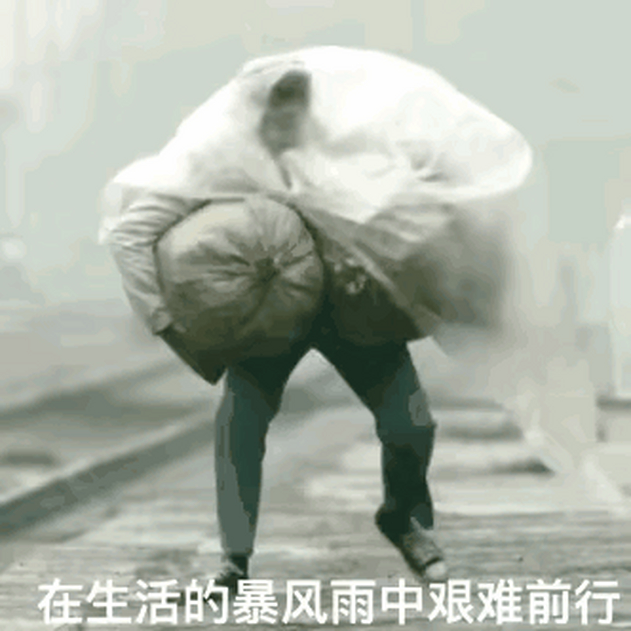 《万里归途》张译再次推上话题,不管是演技还是台词的功力他都无懈可