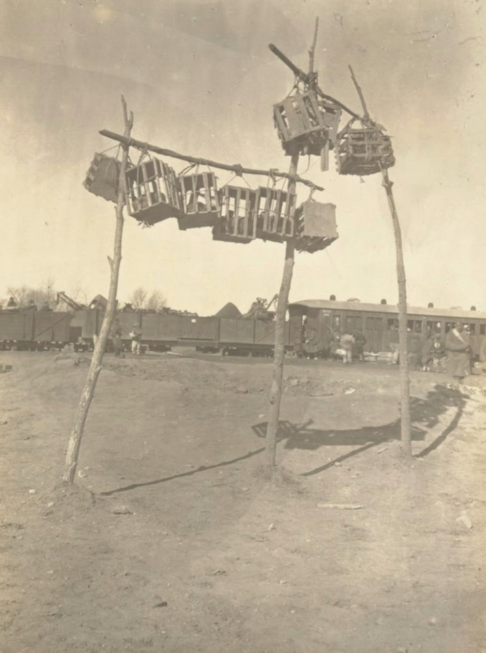 九条人命,1901年 676767