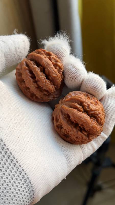 京八棱霸王龙,戴手套揉包浆很干净-度小视