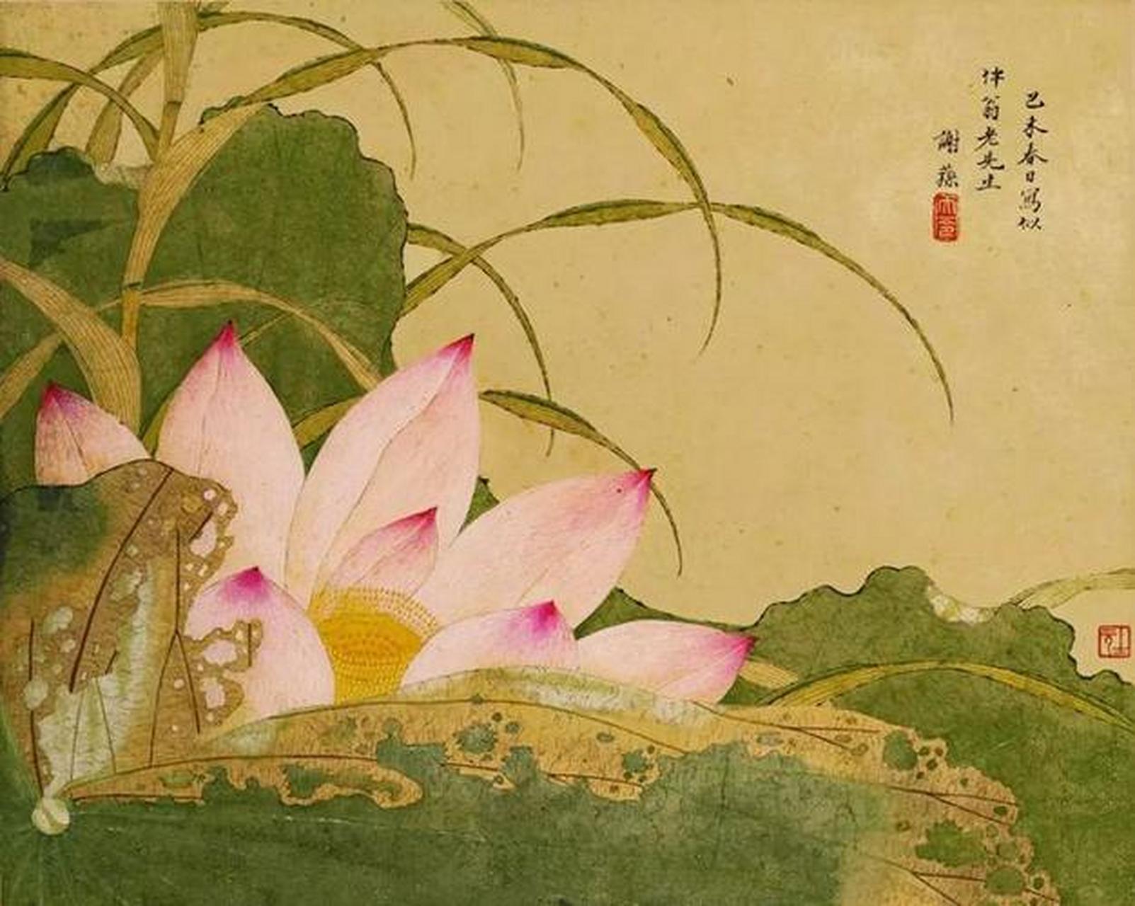 中国花鸟画中的名花卉——莲花【十九】历代名家作品|清代/谢荪,余穉