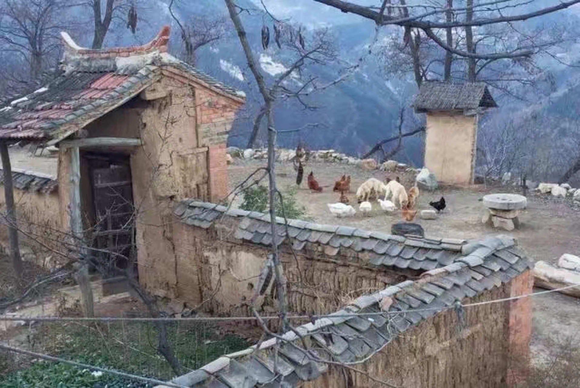 终南山张二冬的生活