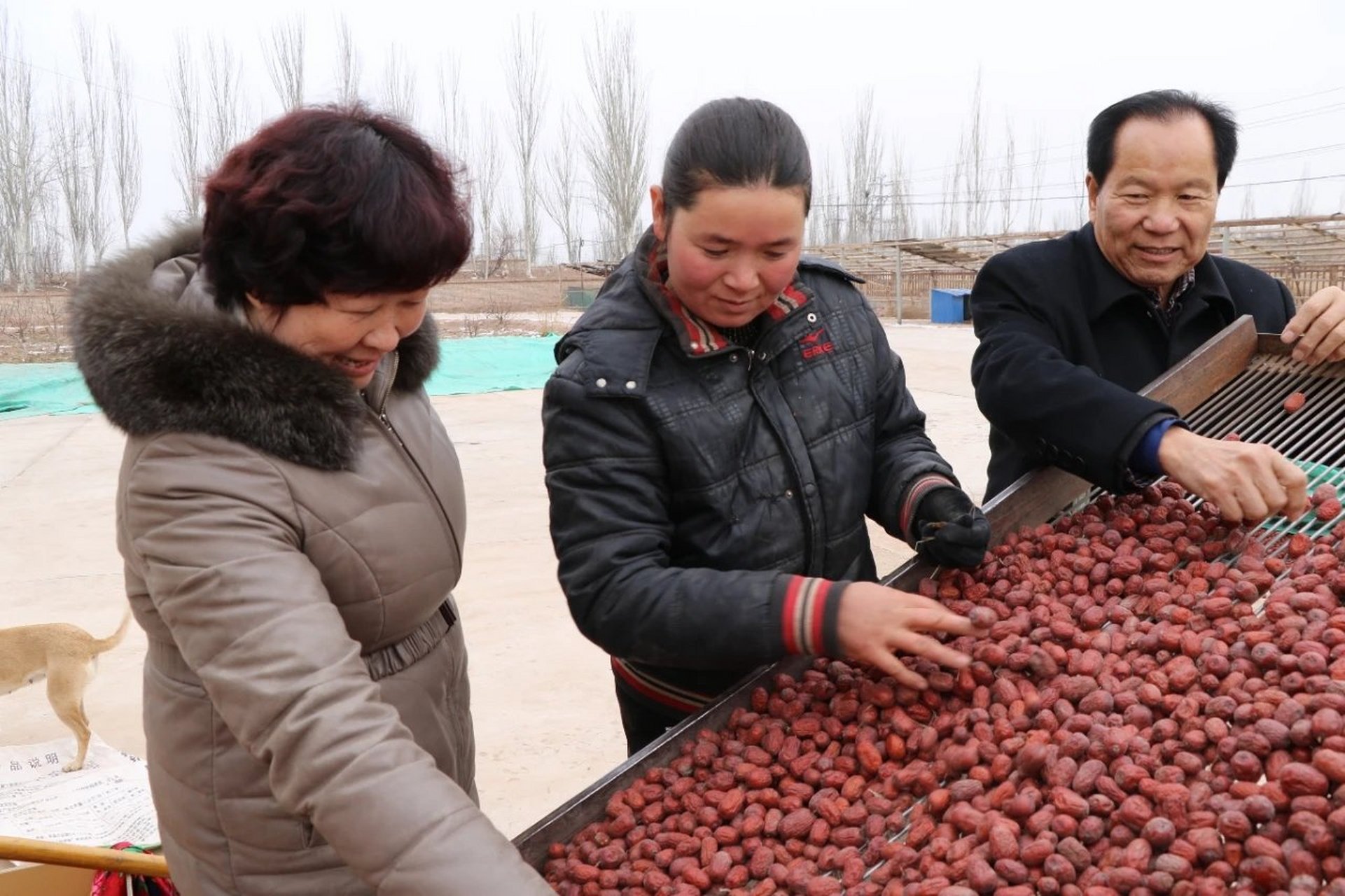 感动喀什十大人物丨闫豪:心里始终装着村民 在疏附县站敏乡,只要提起