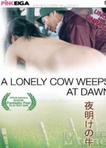 哭泣的牛