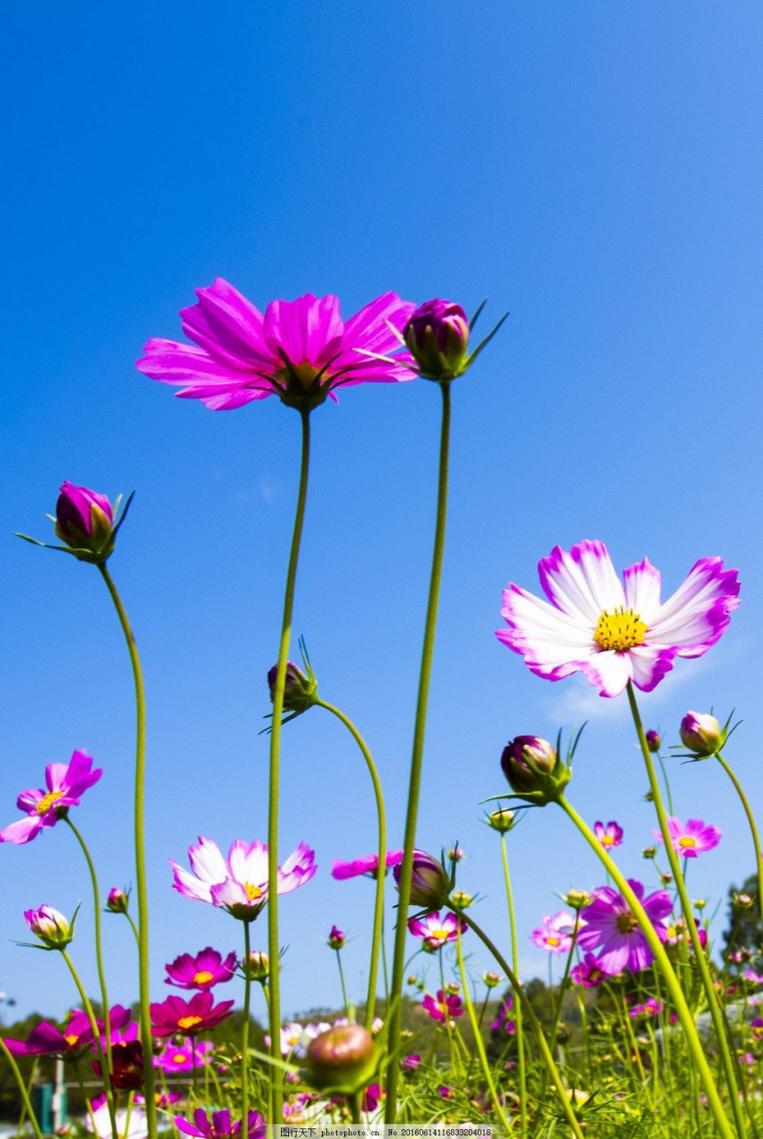 858_1280竖版 竖屏