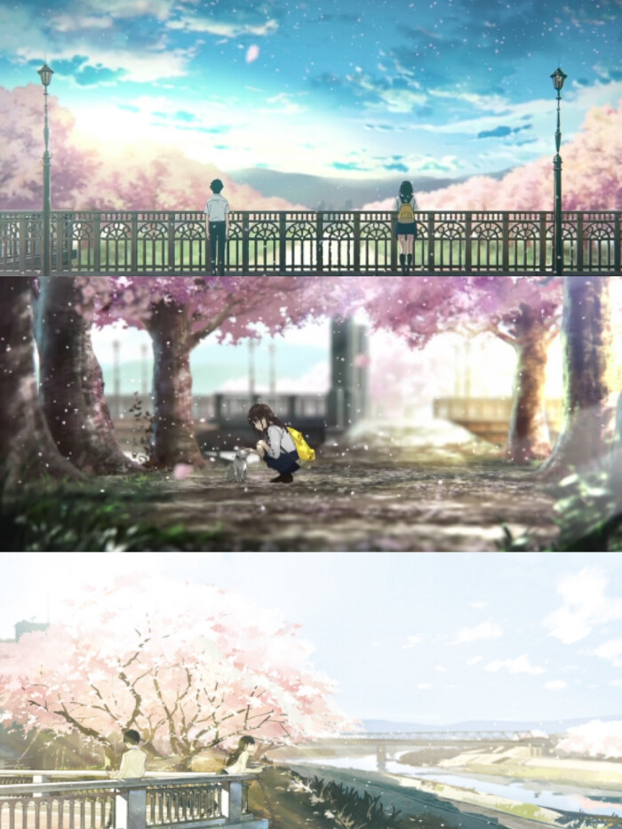 studio voln制作的我想吃掉你的胰脏