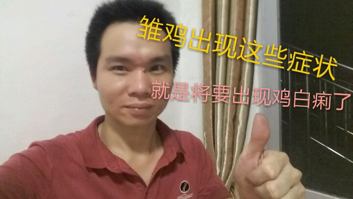 雏鸡开始进食后,在这两周龄最容易出现这症状,特别是鸡白痢