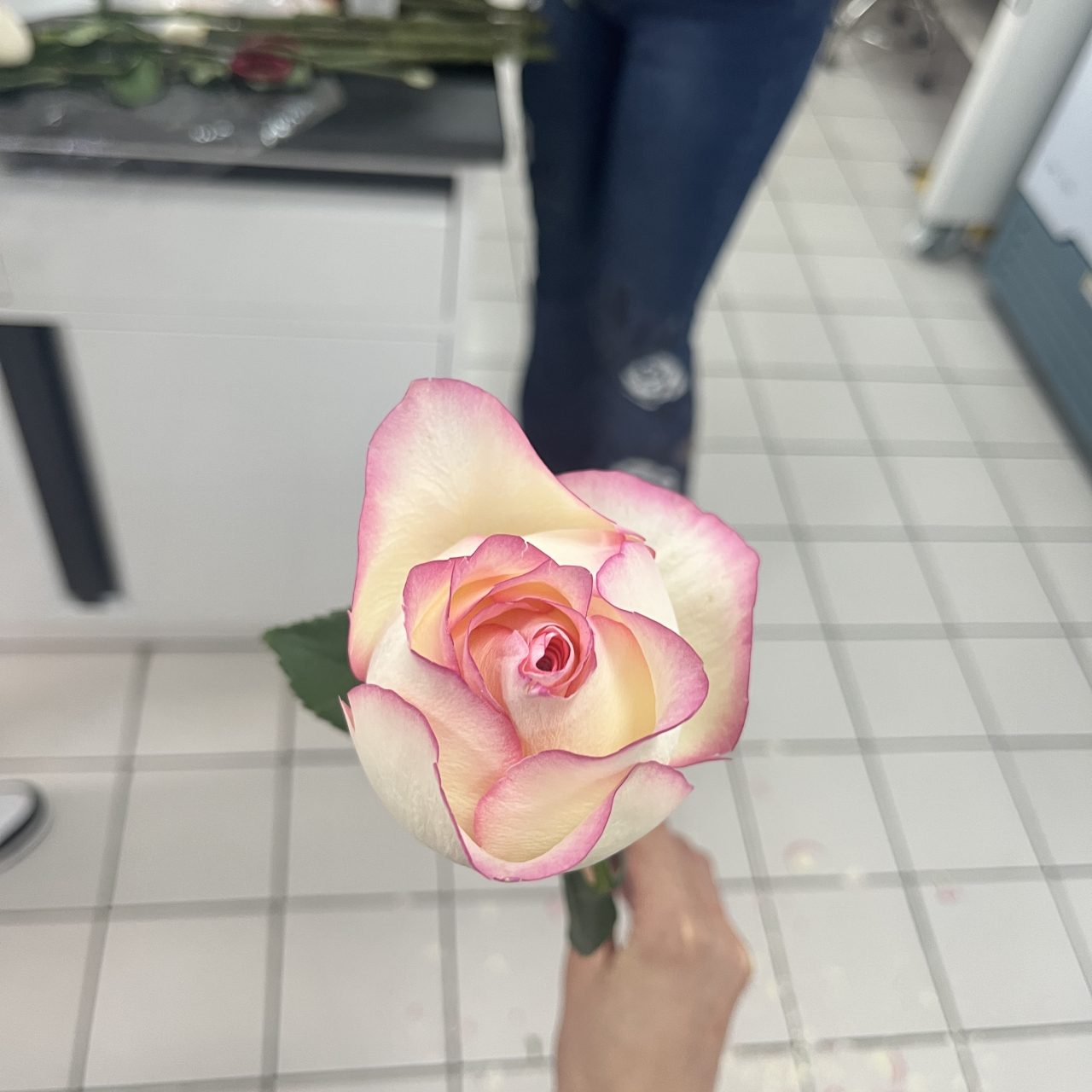 液氮瞬间冷冻的玫瑰95