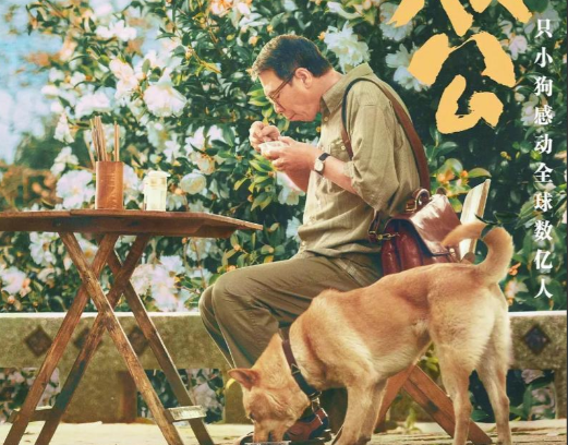 冯小刚搭档陈冲,电影《忠犬八公》3月31日温暖上映