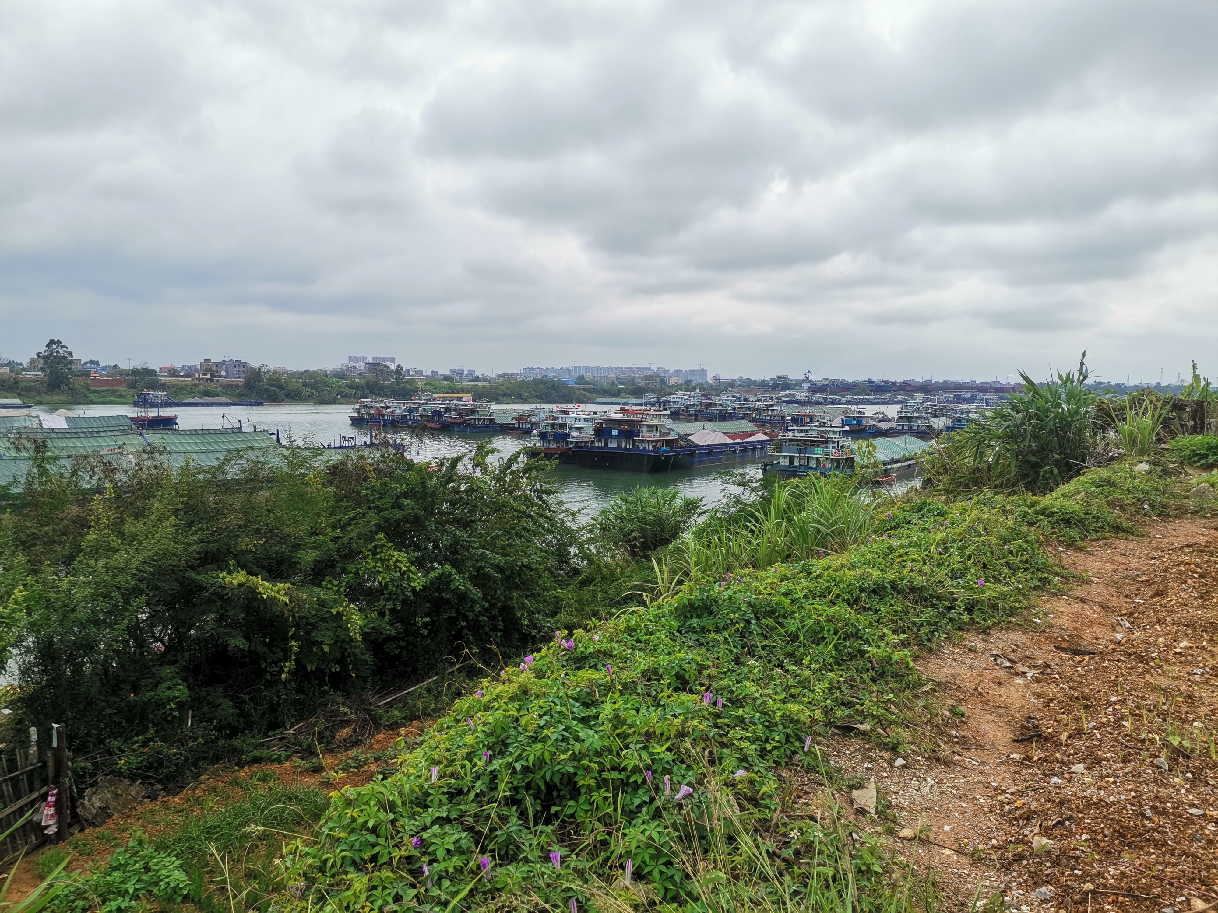 桂平的郁江江面