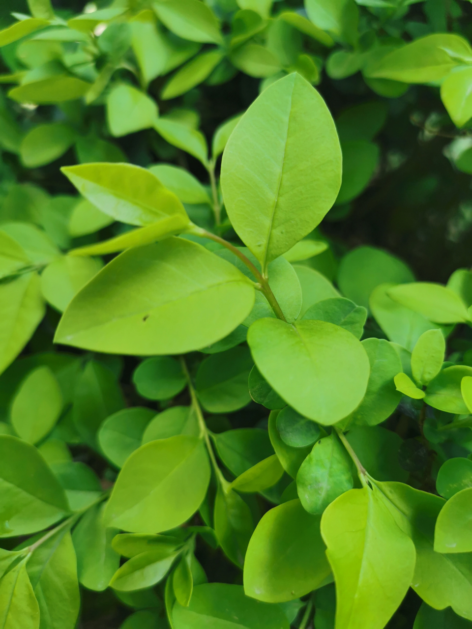 今年的3月份,汽车行业的降价大潮铺天盖地席卷开来.