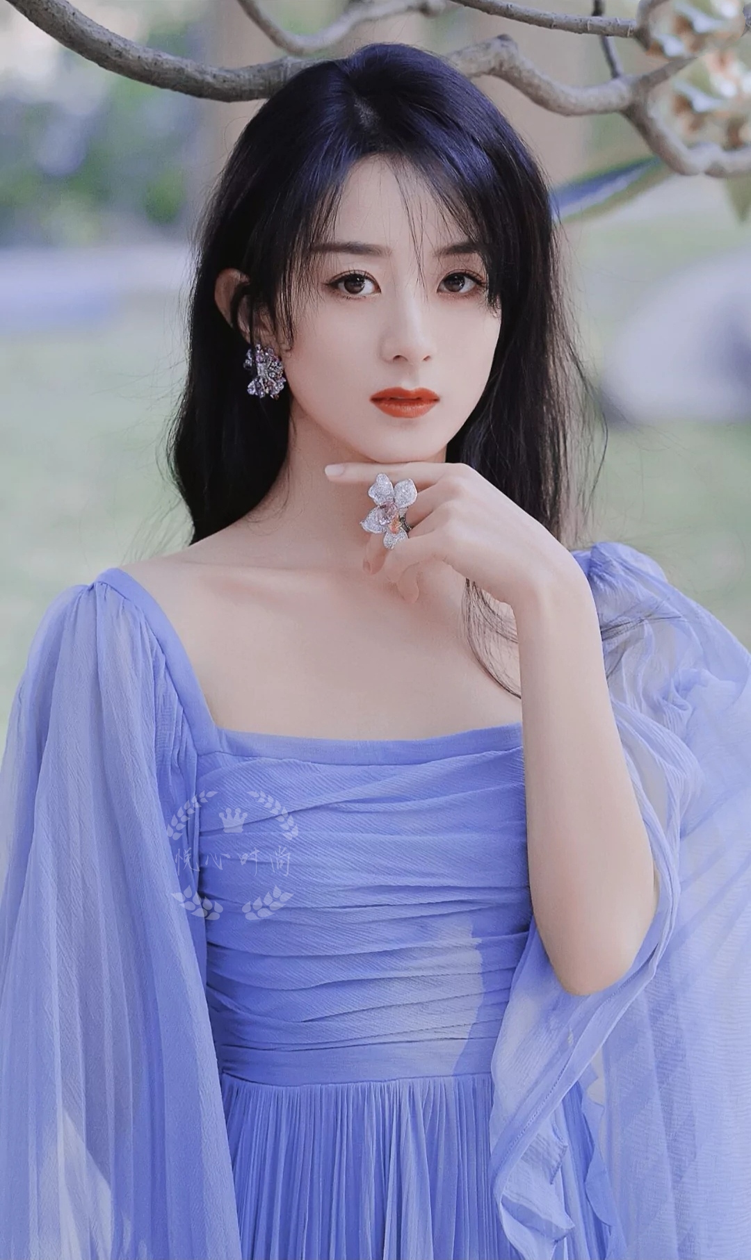 明星图集:赵丽颖