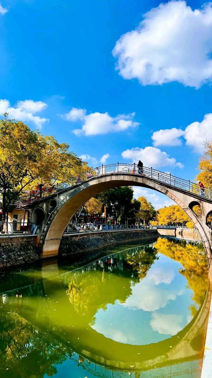昆明冬天大观河的美景