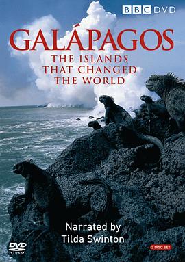 《 加拉帕戈斯群岛》39复古传奇激活码大全