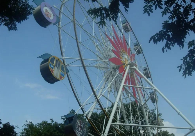 安慶缺的是大型綜合性遊樂園,而不是一個小小的張湖公園