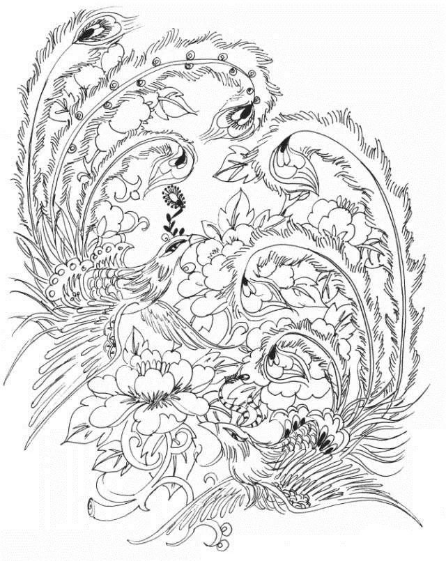 素材丨一组神鸟凤凰白描图谱