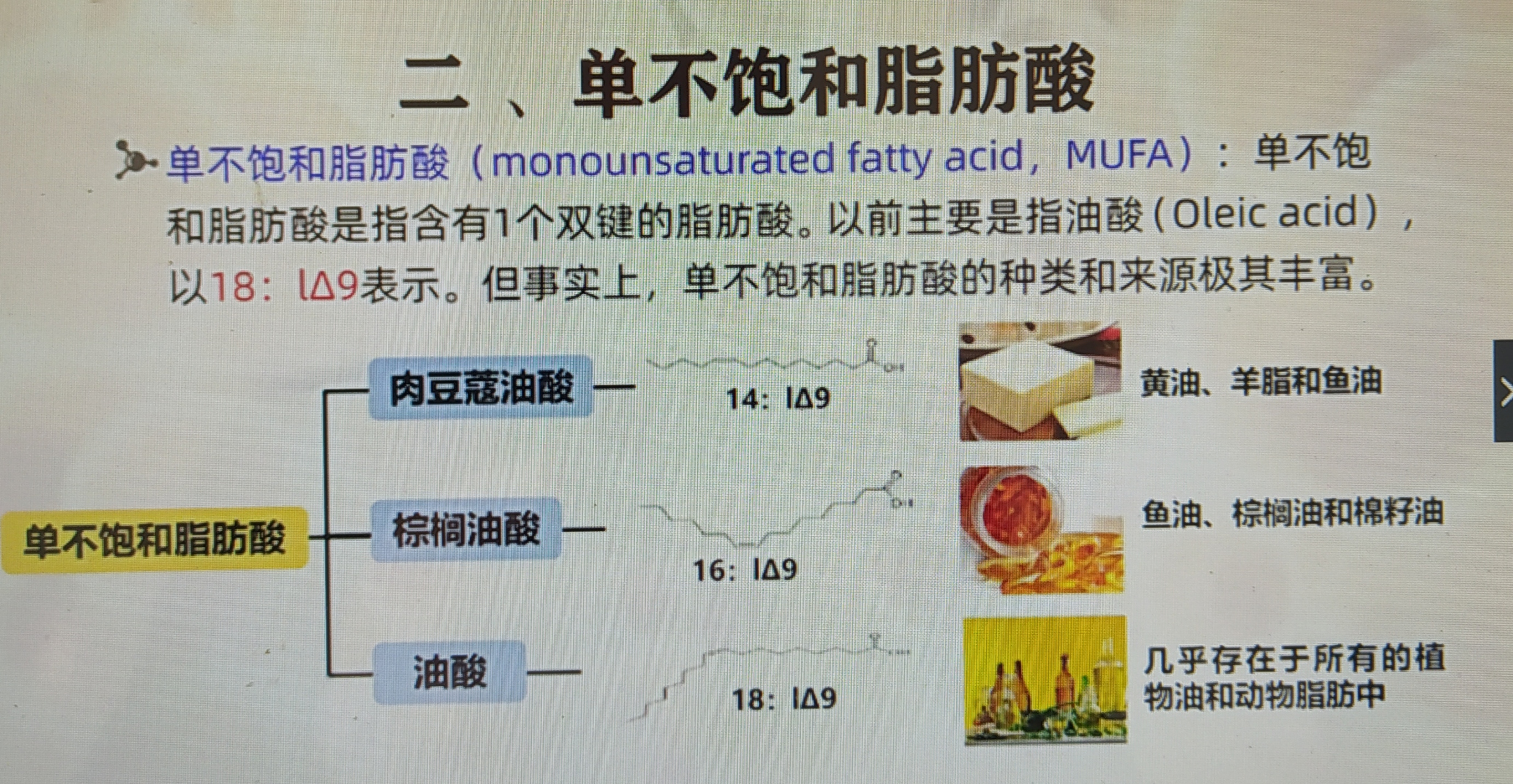 单不饱和脂肪酸