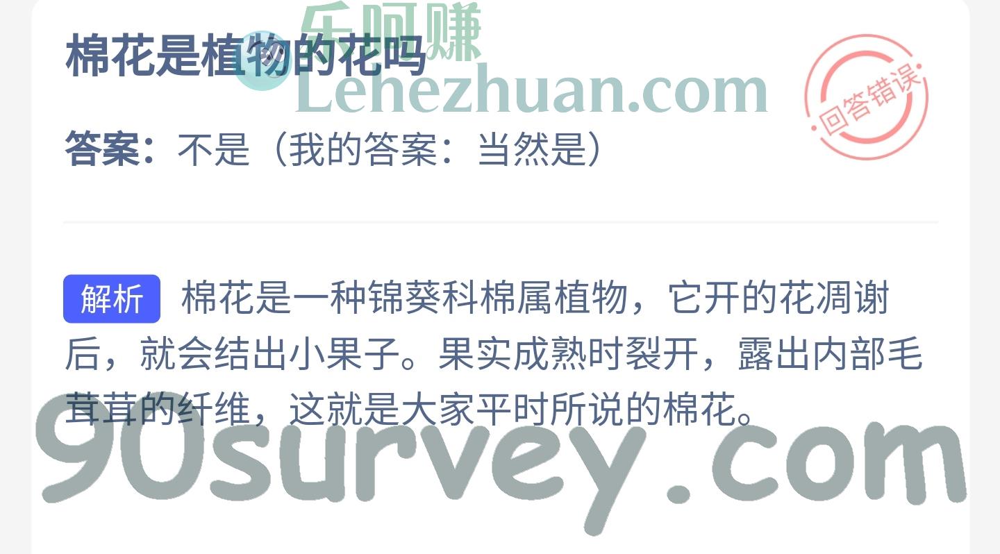 棉花是植物的花吗?答案:不是 棉花是植物的花吗?答案:不是