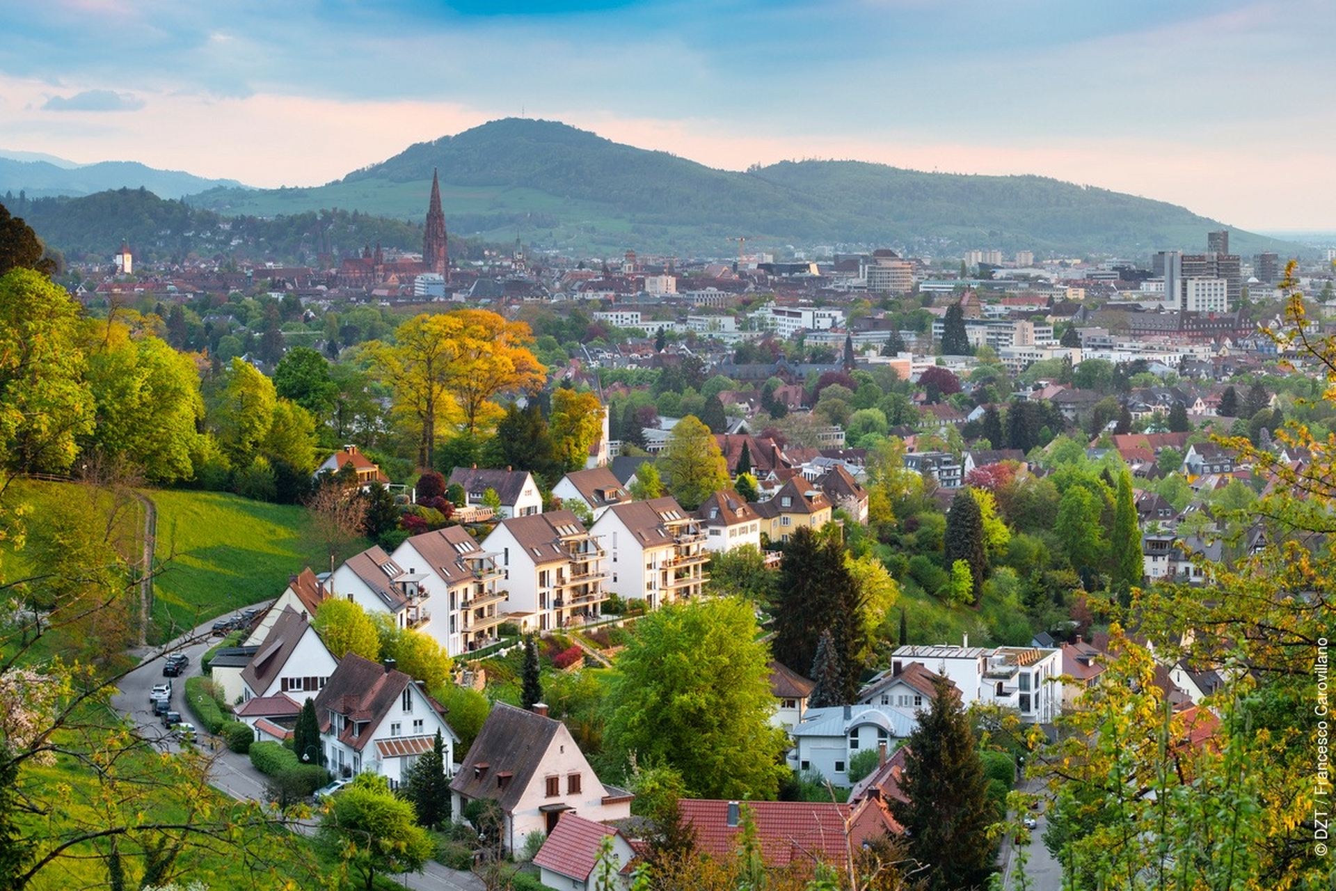 #海外文旅# 德国南部城市弗莱堡(freiburg),一座有着深厚的文化和历史