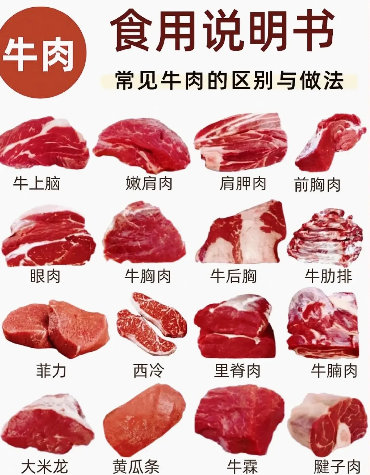 21个牛肉部位,大卸八块之常见16个部位食用说明