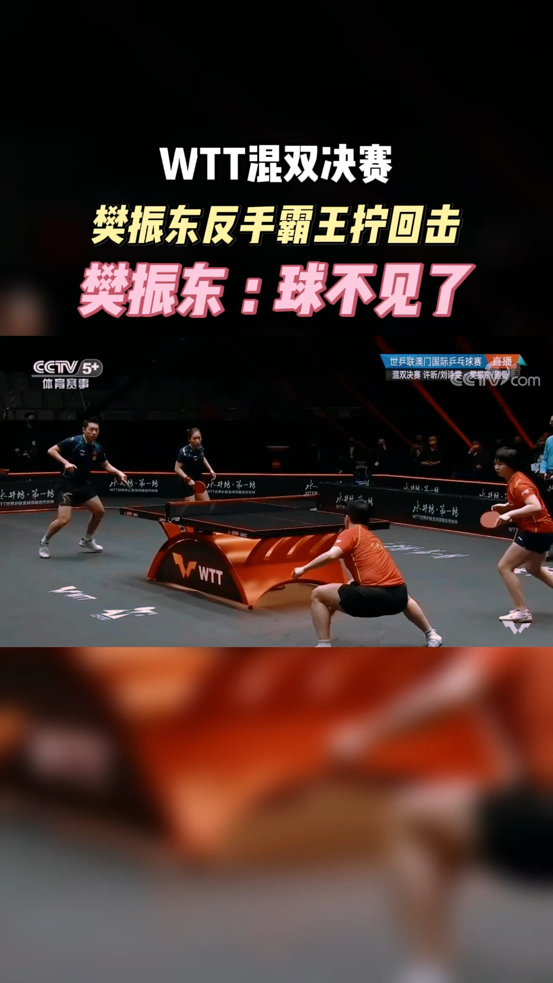 赛场搞笑一幕刘诗雯侧旋球樊振东反手霸王拧回击樊振东球不见了