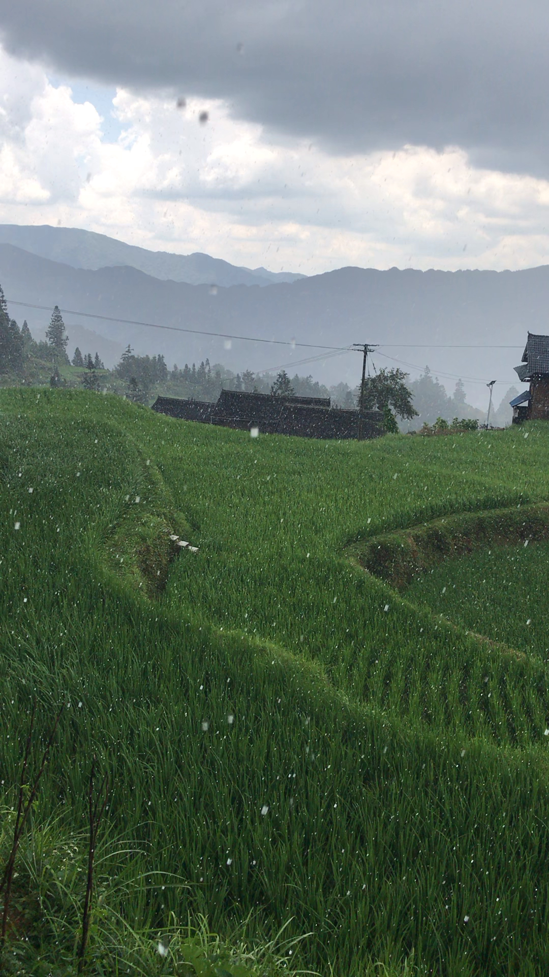 夏天的的雨天也很美 随手拍