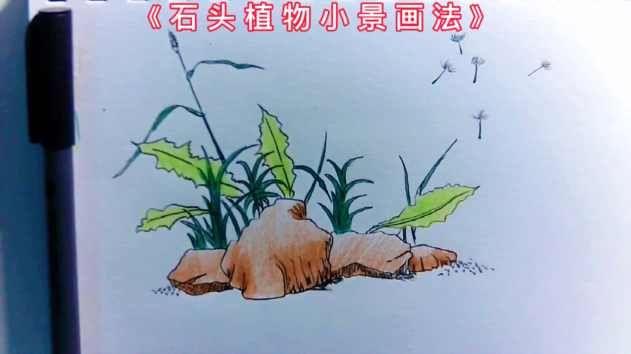 简笔画儿童画大全.手绘石头植物小景。在家就能学画画