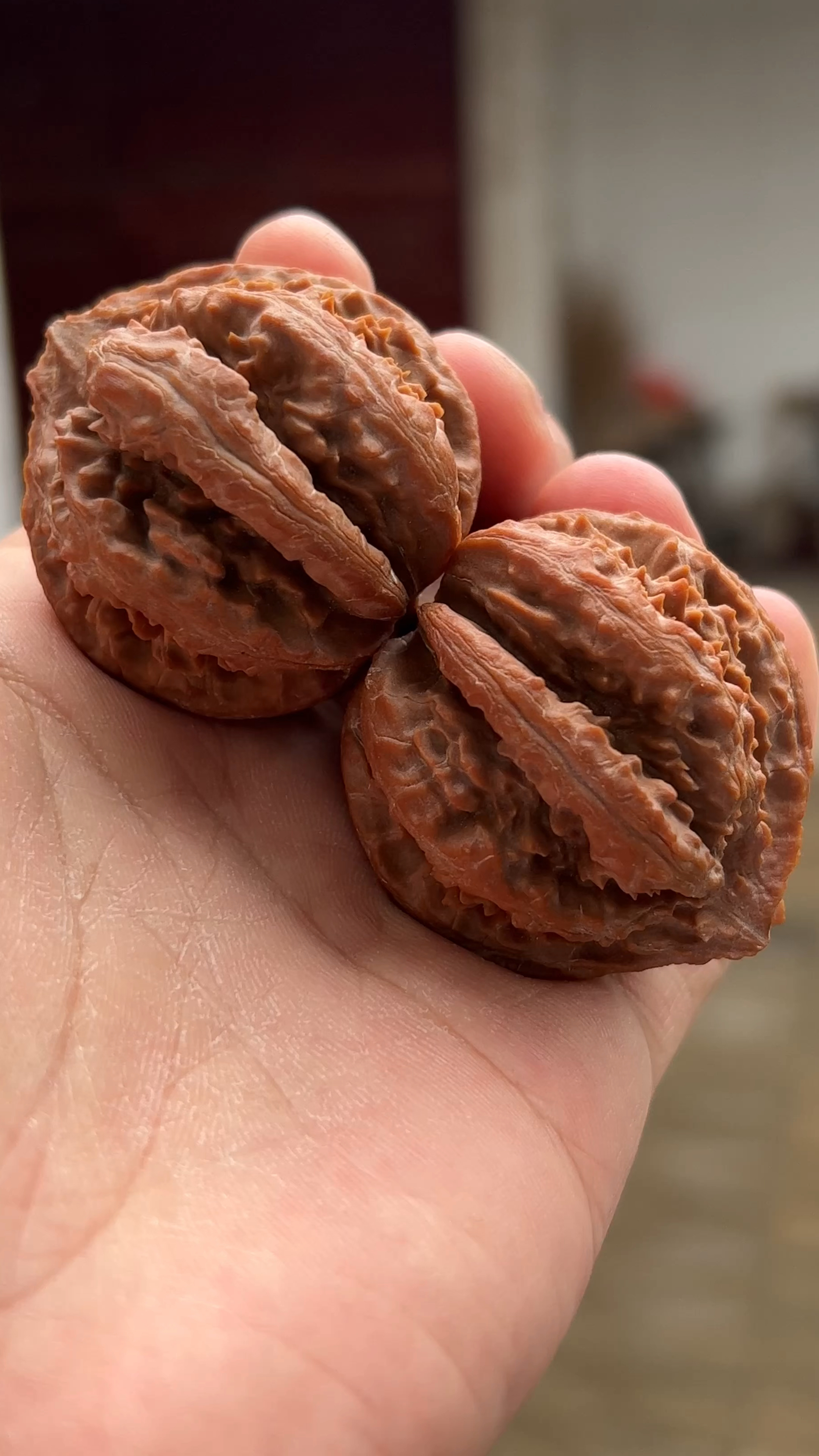 粗筋霸王龙,京八棱中最霸气的纹路,不接受任何反驳!