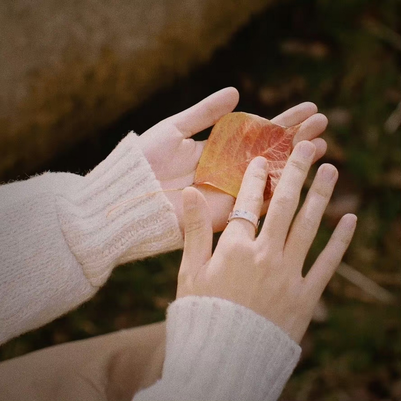 任嘉伦# 手控党的福利[舔屏]