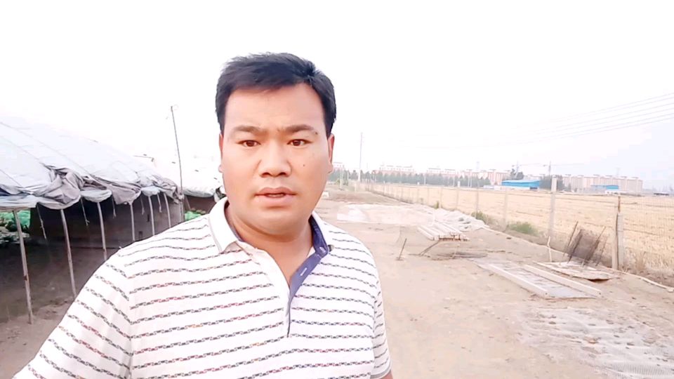 小李为了预防小鹅痛风,买了5000多斤菜喂鹅,2毛多钱一斤,贵吗