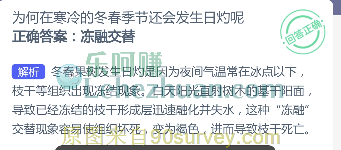 冻融交替导致枝干死亡