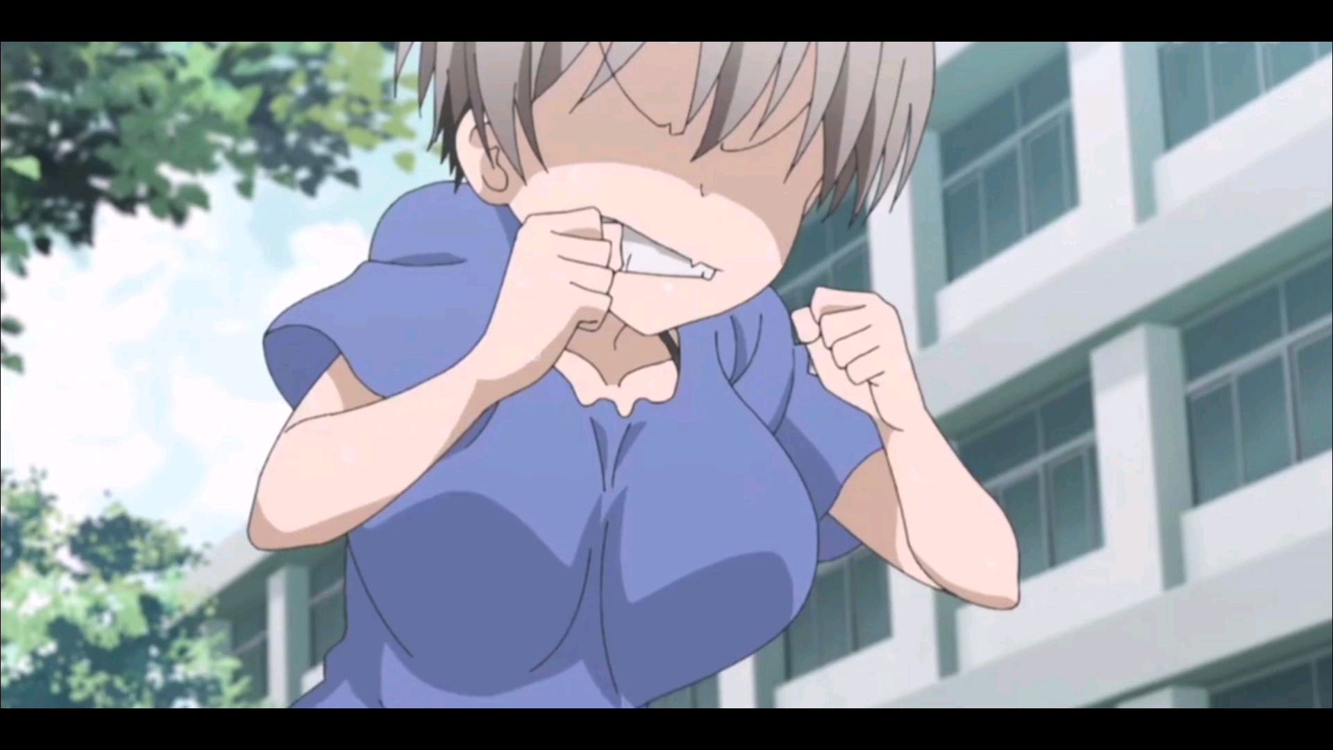 宇琦酱想要玩耍:球球为了薄荷味的巧克力进行了一场生动的演讲