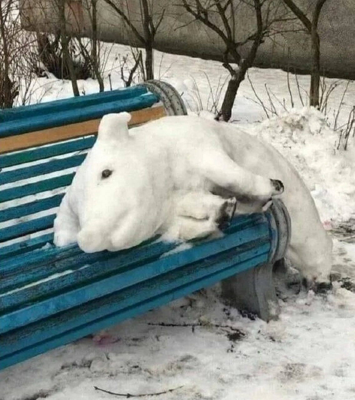 雪雕是作者心靈的體現.