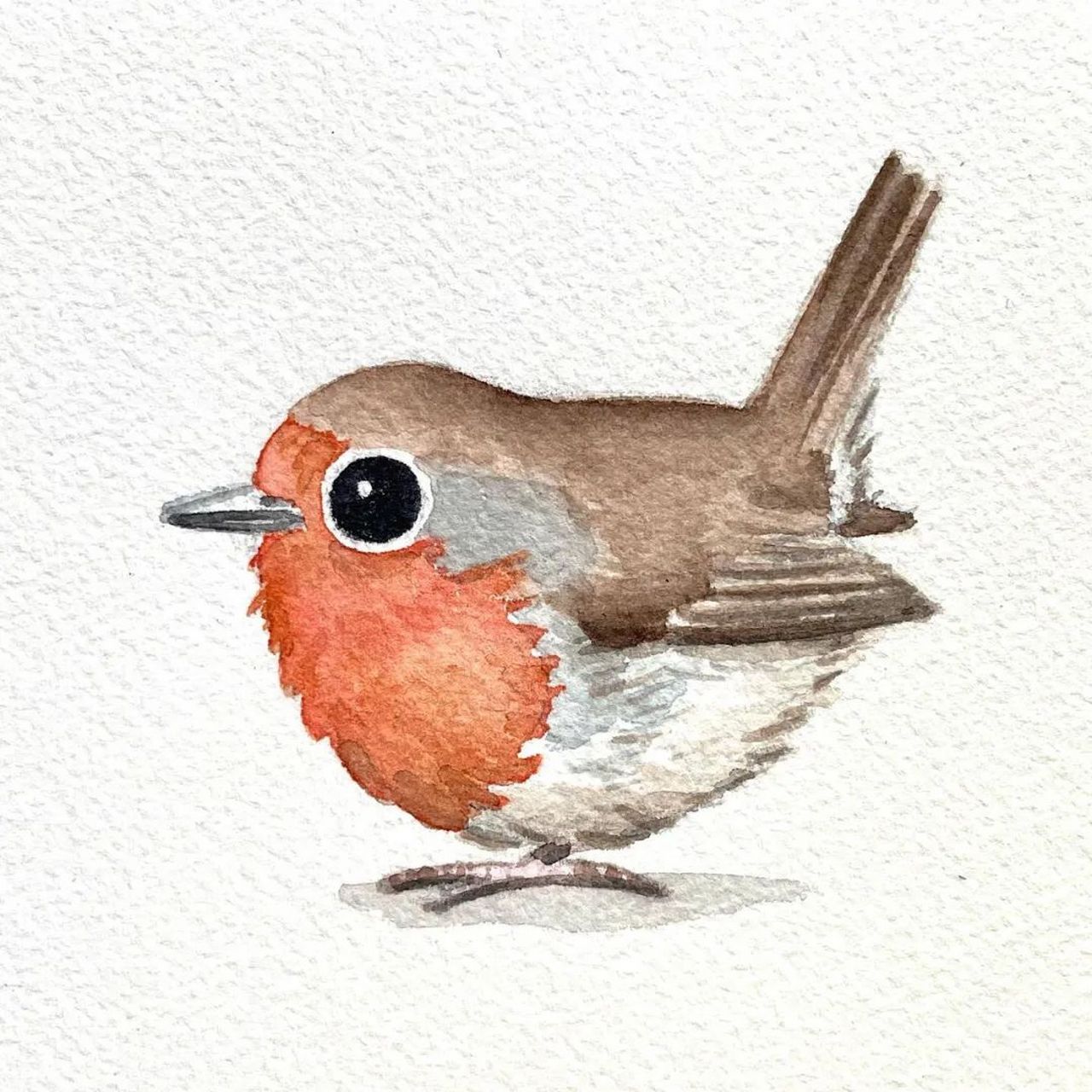 来自插画师heikekuzminski的一组可爱小鸟绘画,在他的笔下肥嘟嘟的