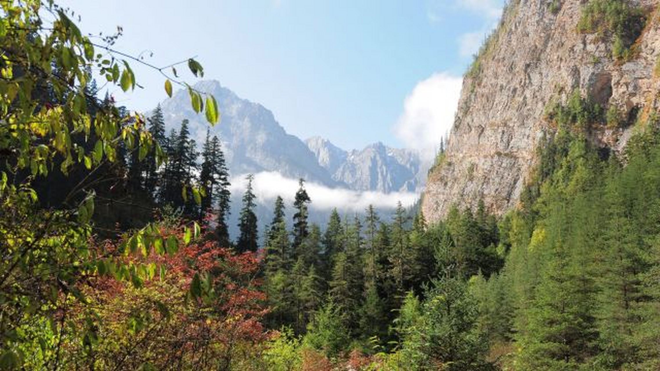 神农架熊山图片