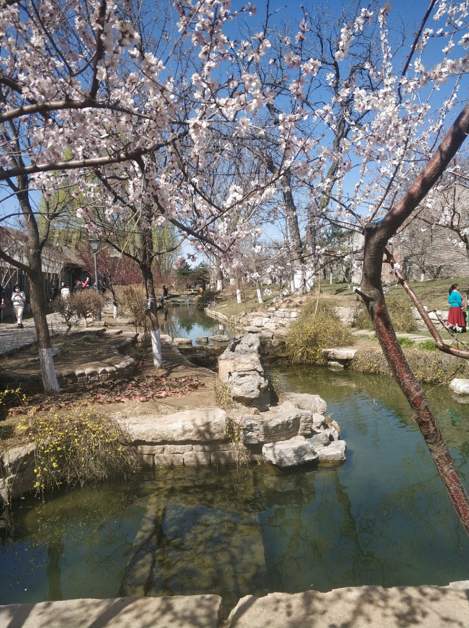 美丽的三里河公园,宛如人在画中行.