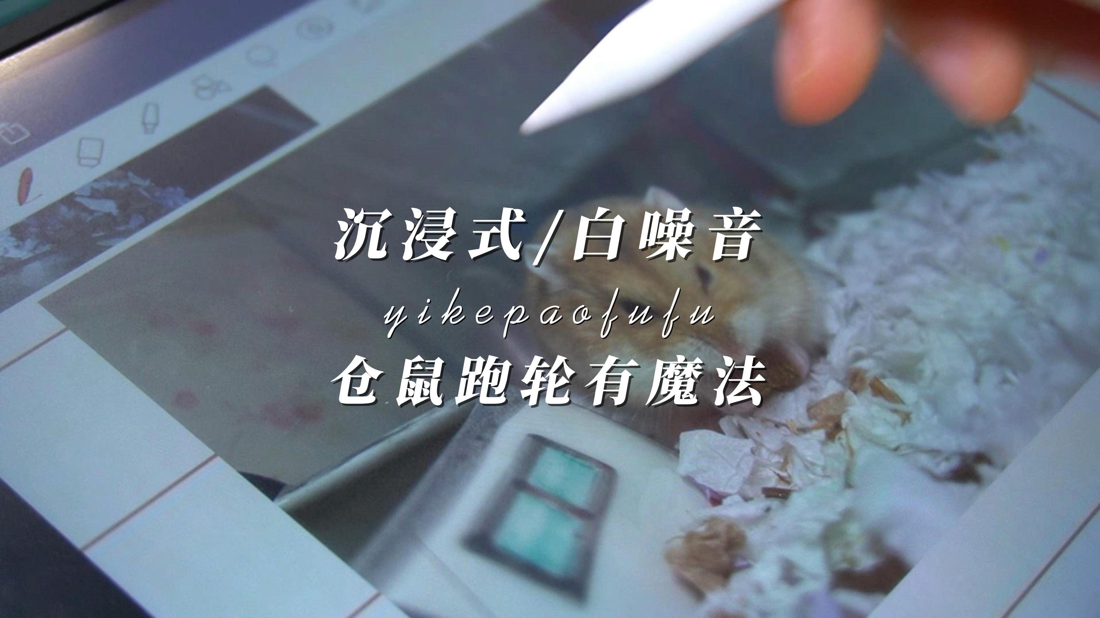 泡芙的白噪音手帐|这次降噪非常成功!