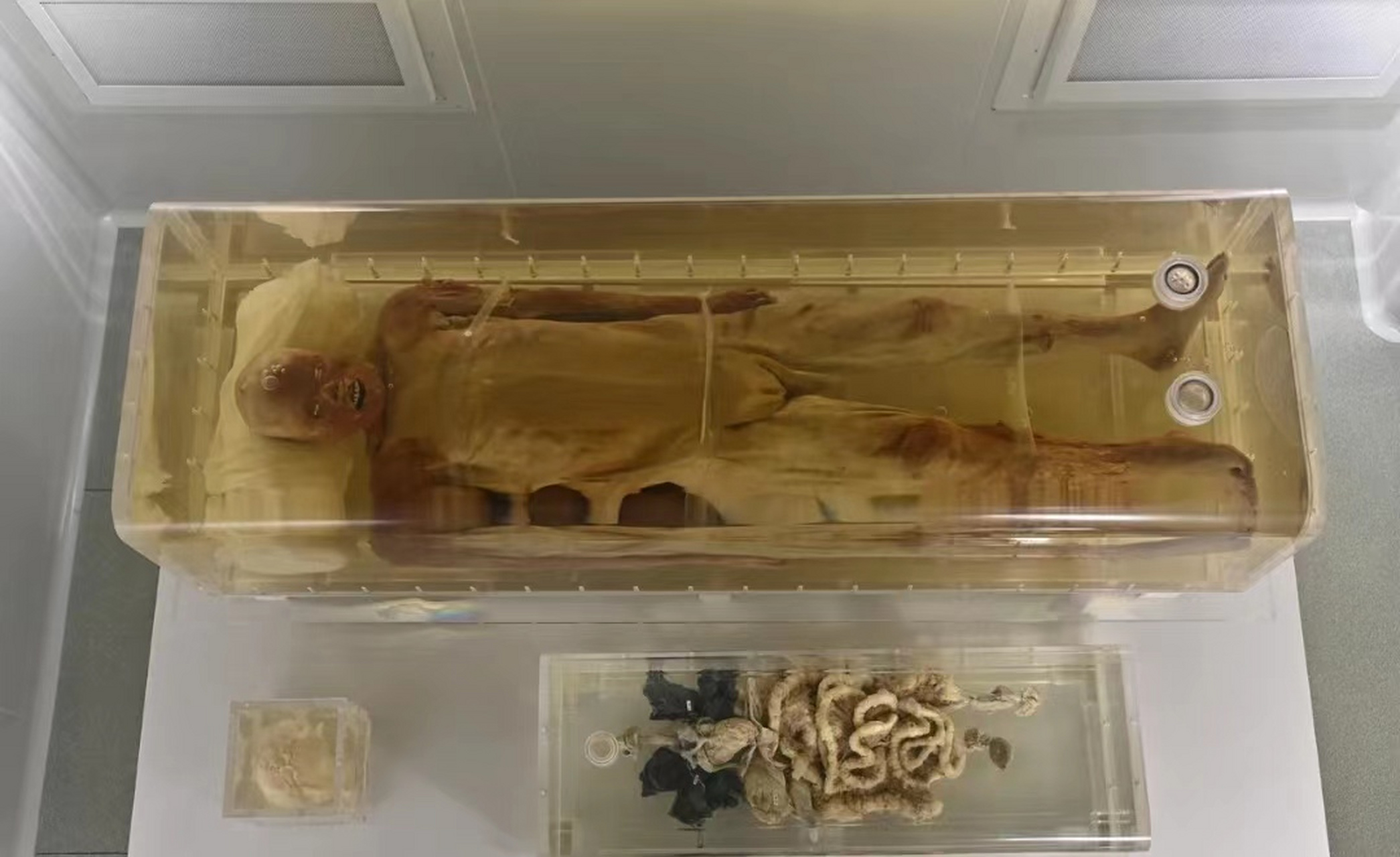 在湖北荆州的凤凰山168号汉墓,出土了一具来自2100多年前的西汉男尸