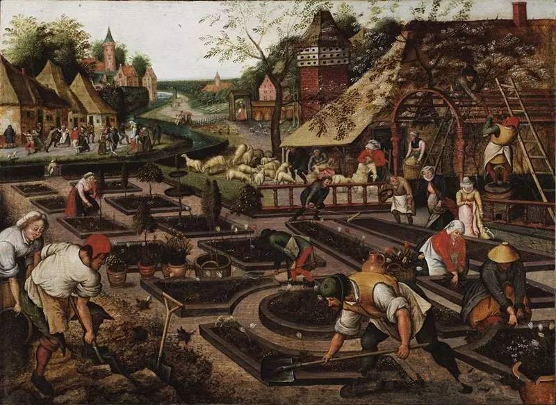 第一次金融危机,荷兰郁金香泡沫!(上)