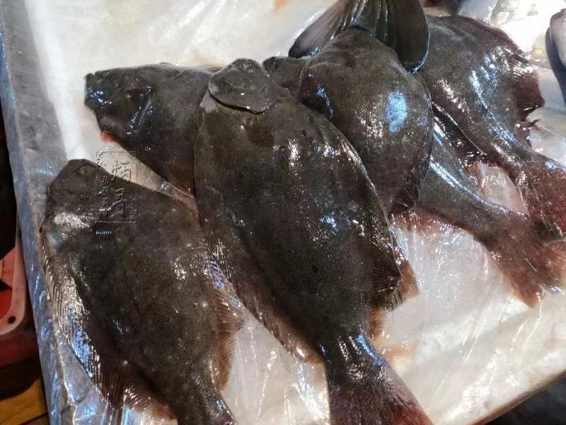 最受欢迎的8种海鱼,好吃不贵,懂吃的天天买,网友:我看看就好