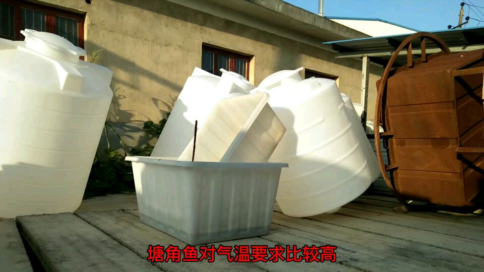 养塘角鱼不占空间 地下挖好水池,上面水泥板盖上就行!