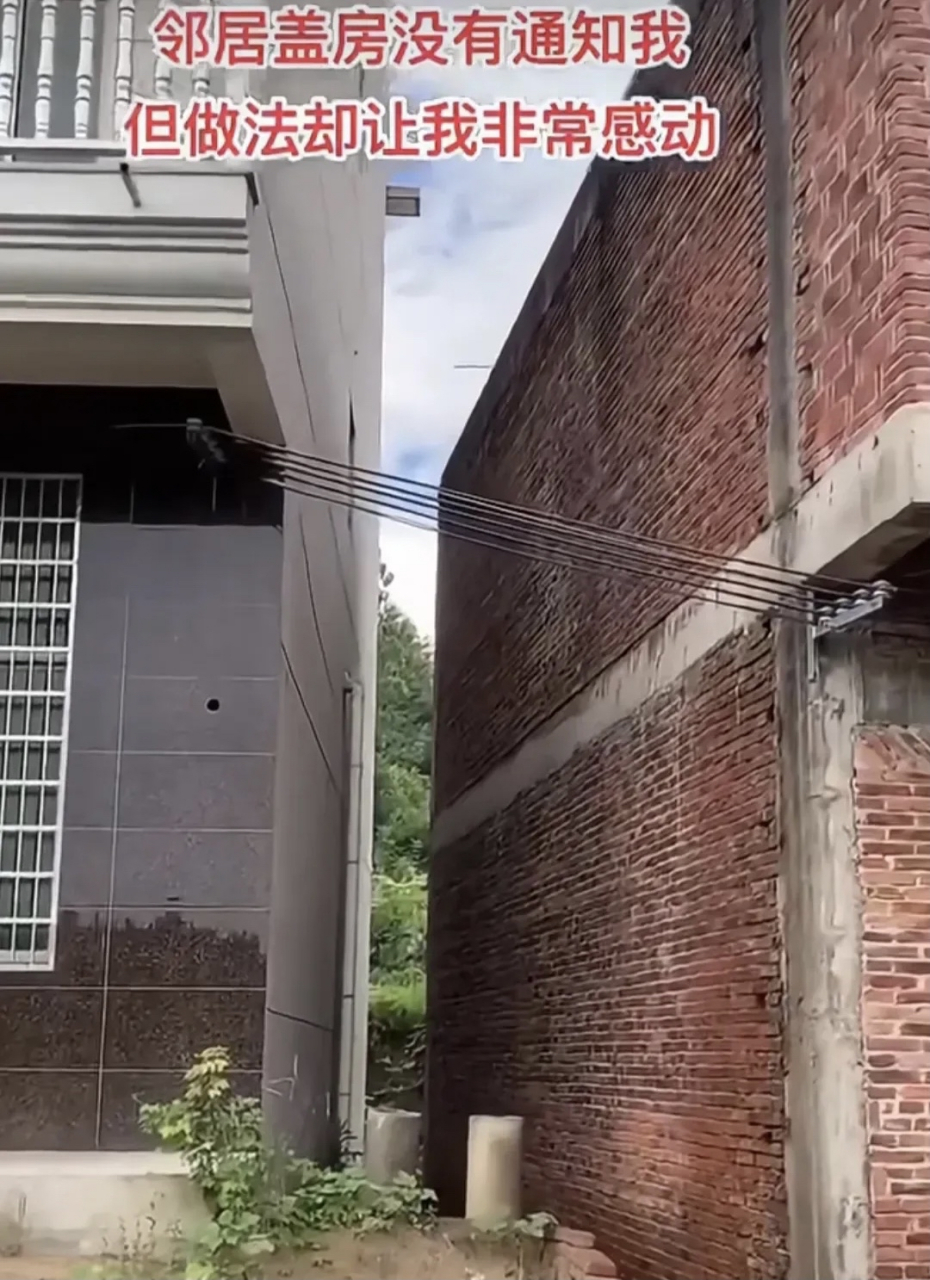 左边96是邻居刚盖好的新房,右边是我的房子,这个房子我建了有7-8年