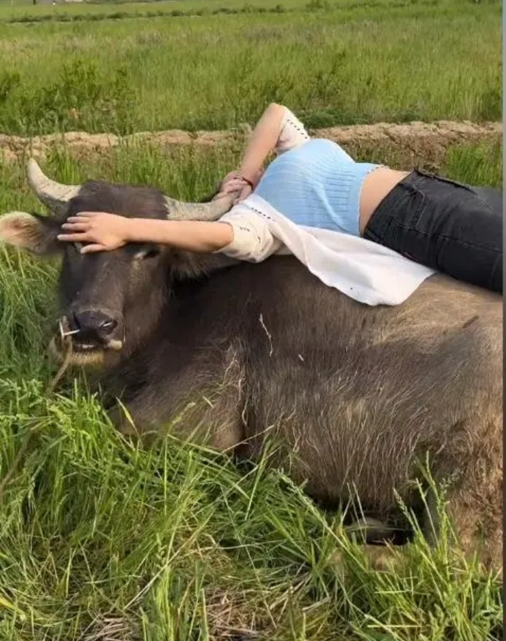 这就是传说中的牛郎织女吗?04